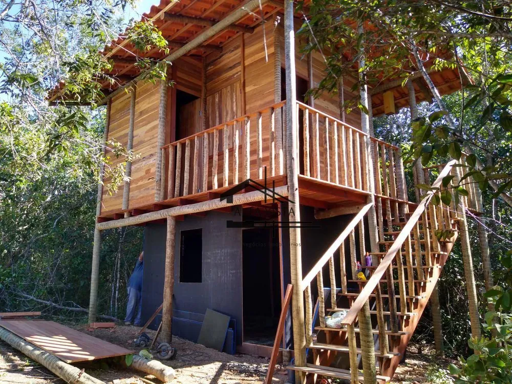 Fazenda, 12 hectares - Foto 4
