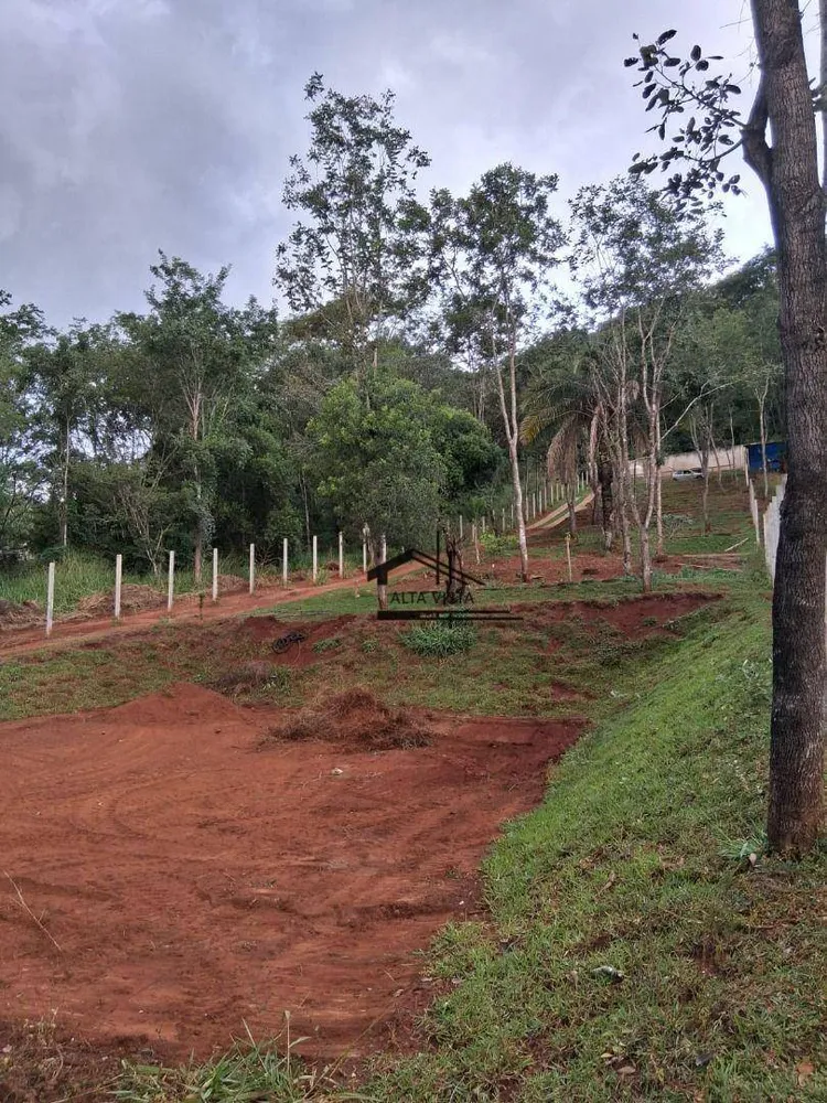 Terreno, 3379 m² - Foto 6