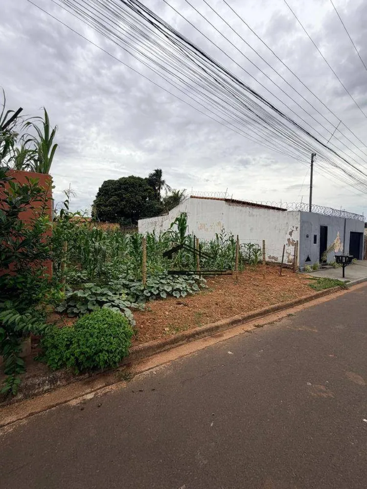 Terreno, 300 m² - Foto 3