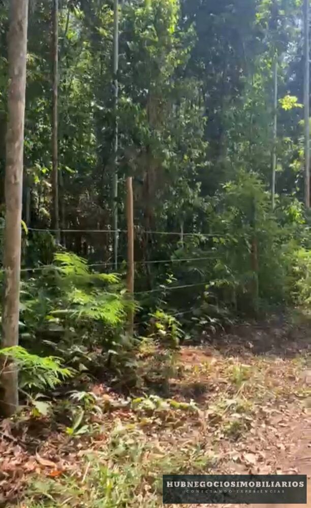 Terreno, 751 m² - Foto 2