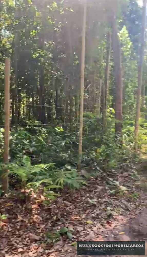 Terreno, 751 m² - Foto 3