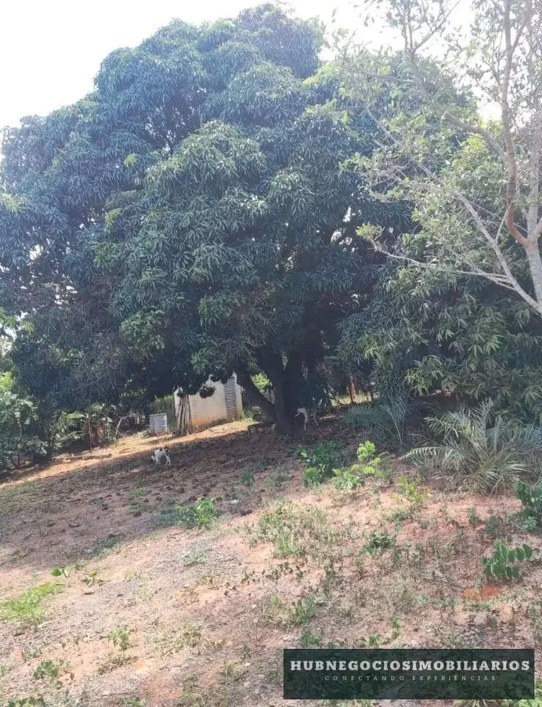 Chácara, 3 quartos - Foto 2