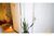 Sala-Conjunto, 120 m² - Foto 18