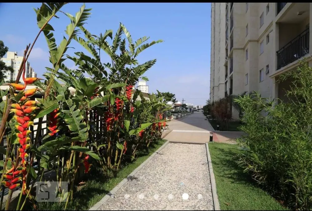 Apartamento, 3 quartos, 80 m² - Foto 2