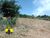 Terreno, 1 hectares - Foto 3