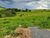 Terreno, 250 m² - Foto 3