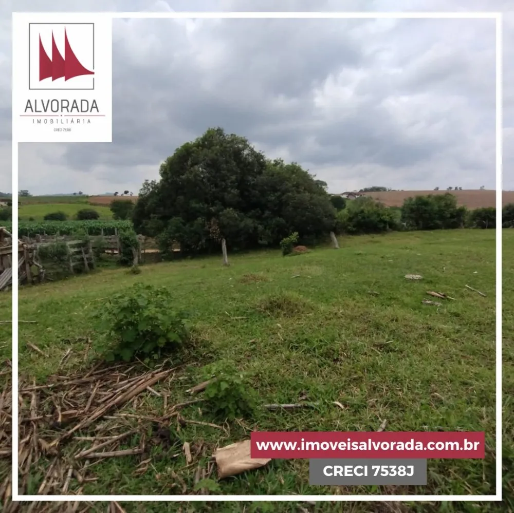 Fazenda, 4 hectares - Foto 2