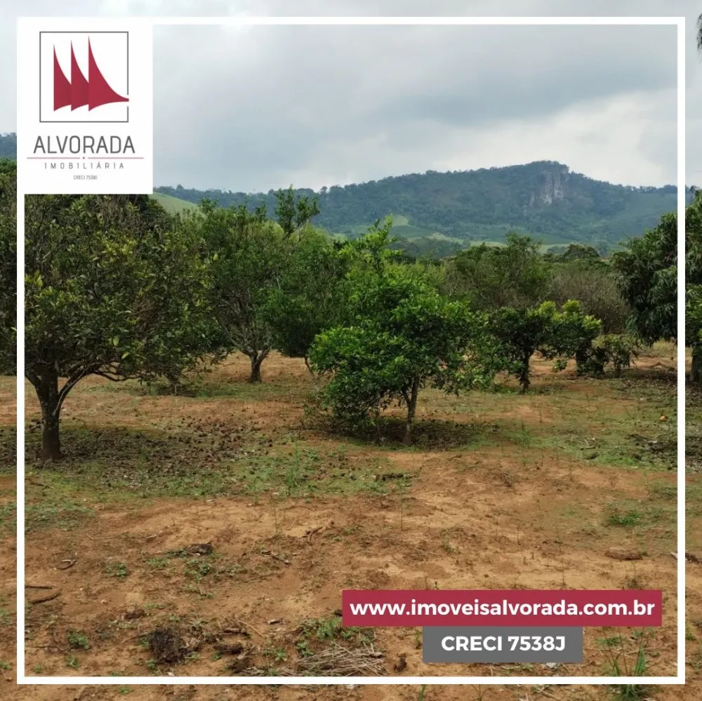 Fazenda, 4 hectares - Foto 3