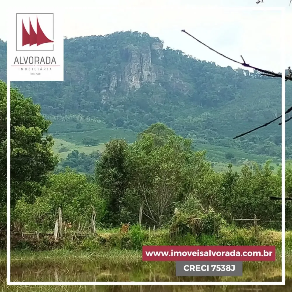 Fazenda, 4 hectares - Foto 6