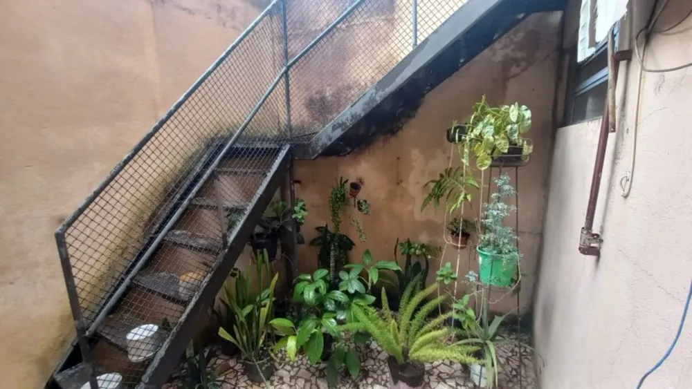 Casa, 3 quartos, 299 m² - Foto 6