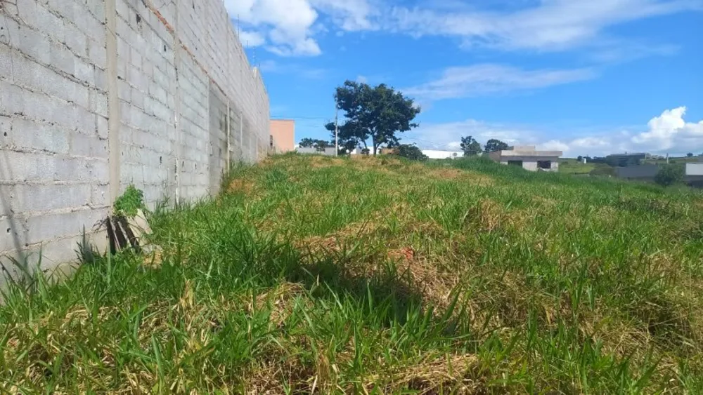 Terreno, 250 m² - Foto 2