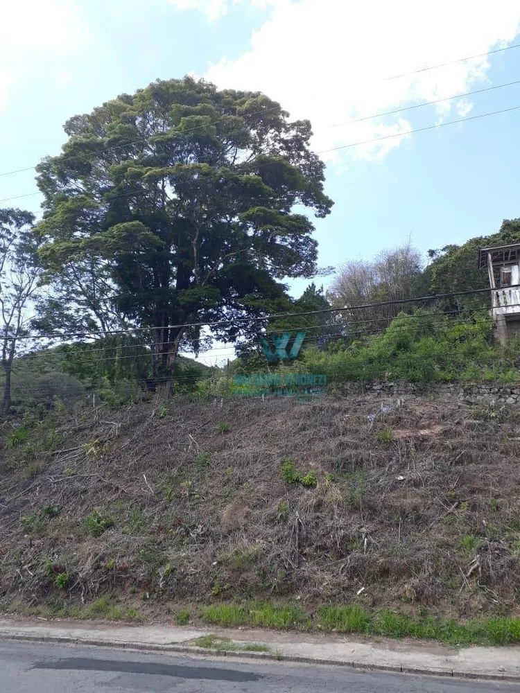 Loteamento e Condomínio à venda, 3944M2 - Foto 2