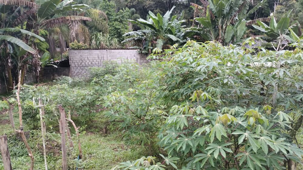 Chácara, 2 quartos, 1000 m² - Foto 15