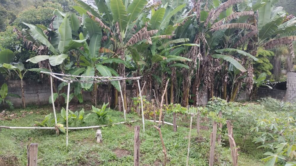 Chácara, 2 quartos, 1000 m² - Foto 4