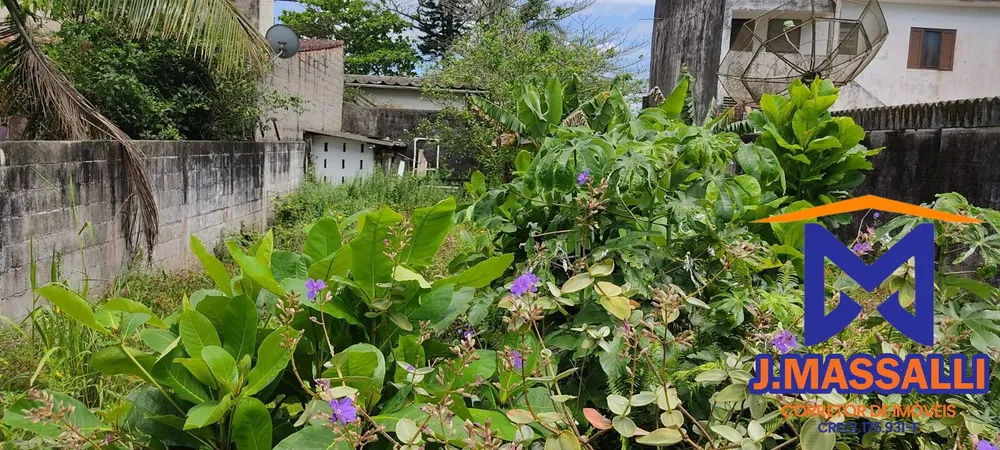 Terreno, 250 m² - Foto 2