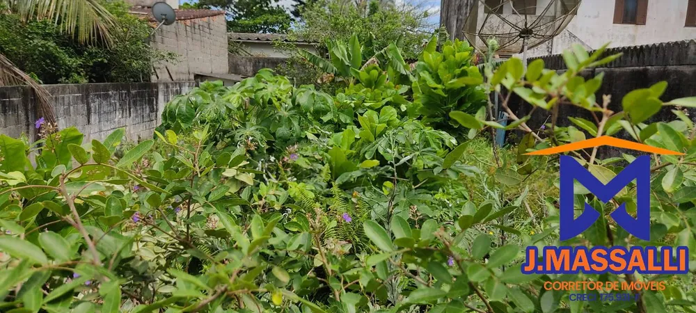 Terreno, 250 m² - Foto 3