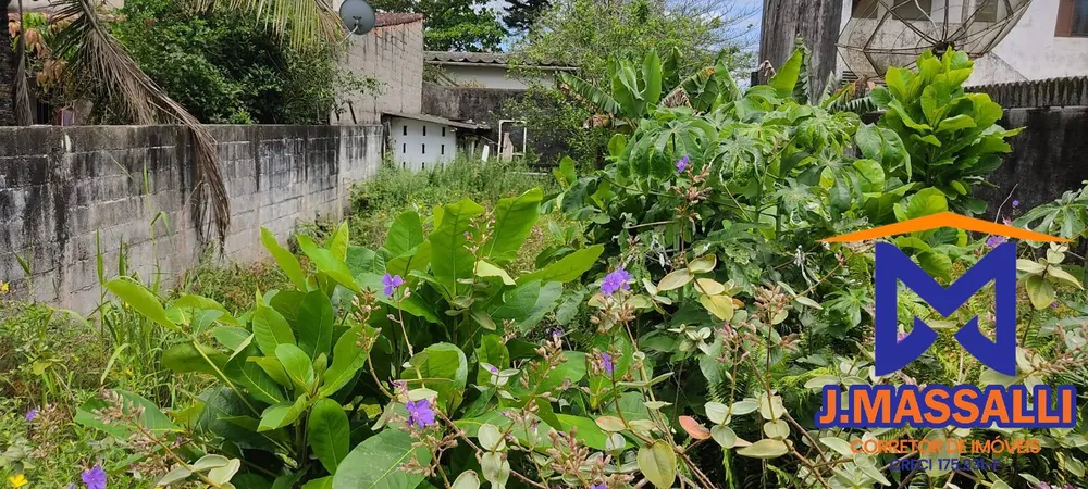 Terreno, 250 m² - Foto 1