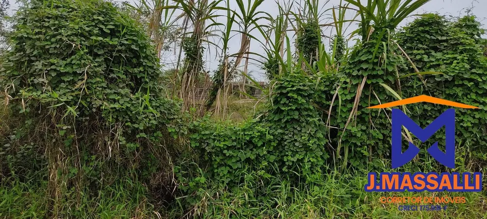 Terreno, 300 m² - Foto 8