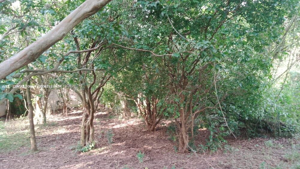 Chácara, 4 quartos, 6300 m² - Foto 8