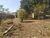 Terreno, 360 m² - Foto 1
