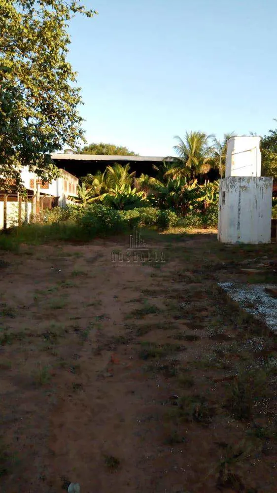 Sítio, 3 quartos, 1408 m² - Foto 2