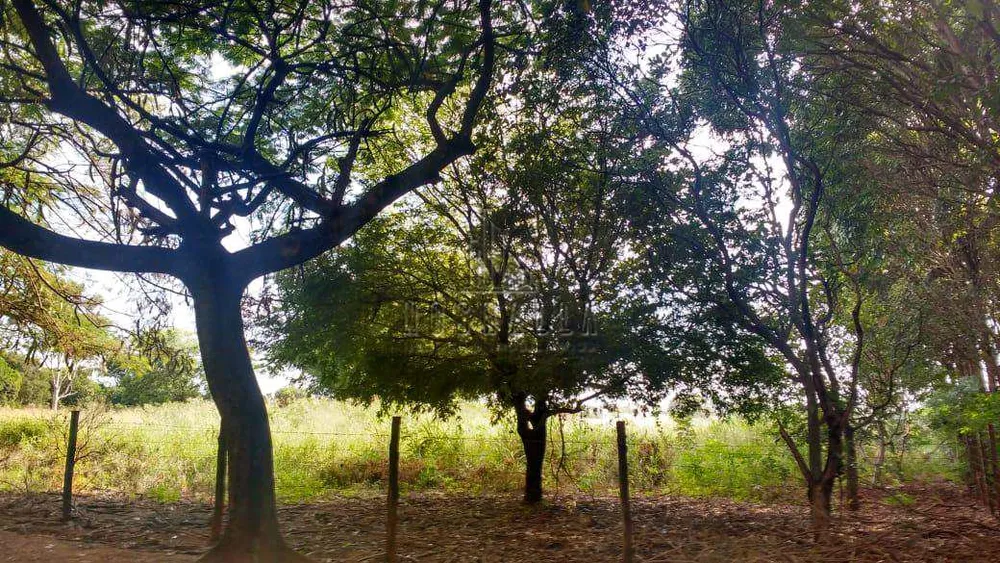Terreno, 1000 m² - Foto 7