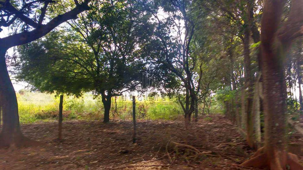 Terreno, 1000 m² - Foto 6