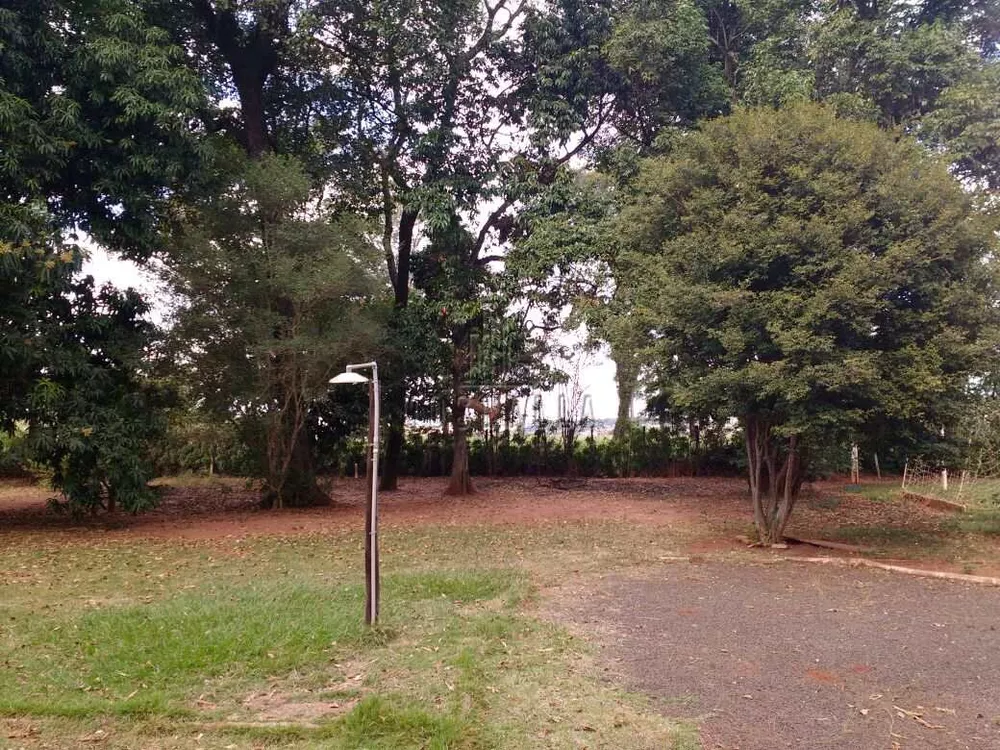 Sítio, 3 quartos, 5300 m² - Foto 1
