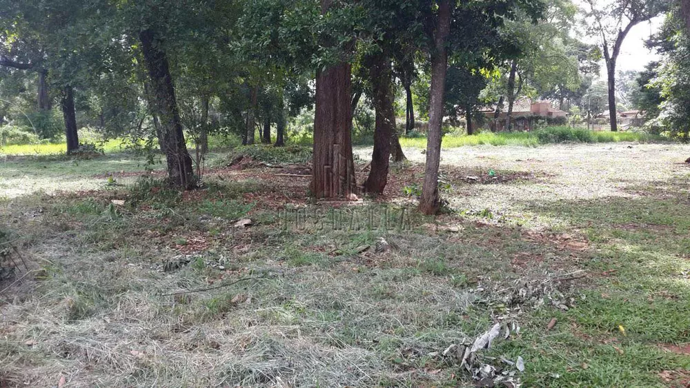 Sítio, 3 quartos, 5300 m² - Foto 7