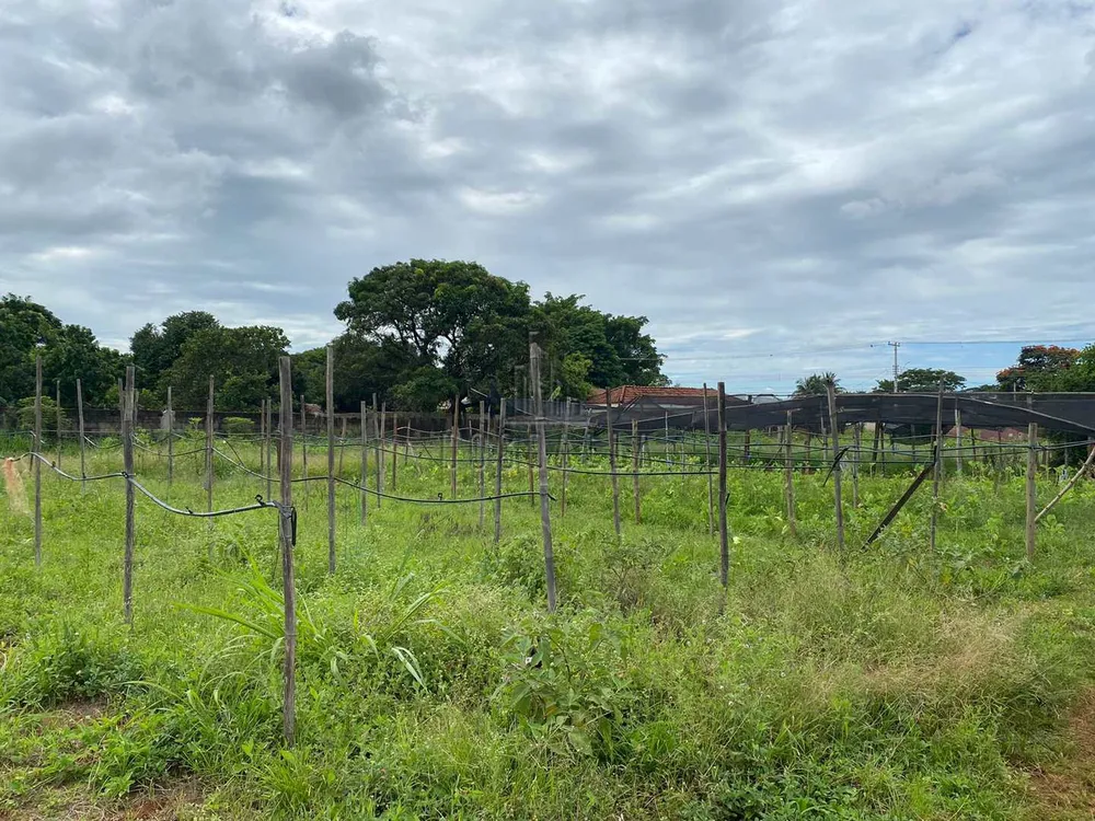 Terreno, 7650 m² - Foto 3