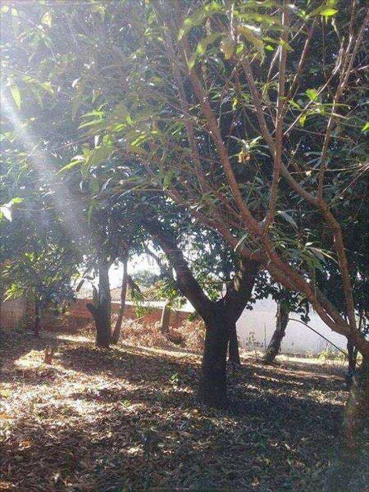 Casa, 4 quartos, 160 m² - Foto 4