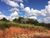Terreno, 320 m² - Foto 4
