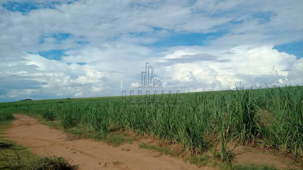 Fazenda, 2 m² - Foto 5