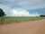 Fazenda-Sítio-Chácara, 2 m² - Foto 2