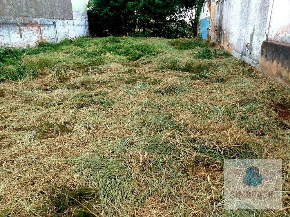 Terreno, 320 m² - Foto 3