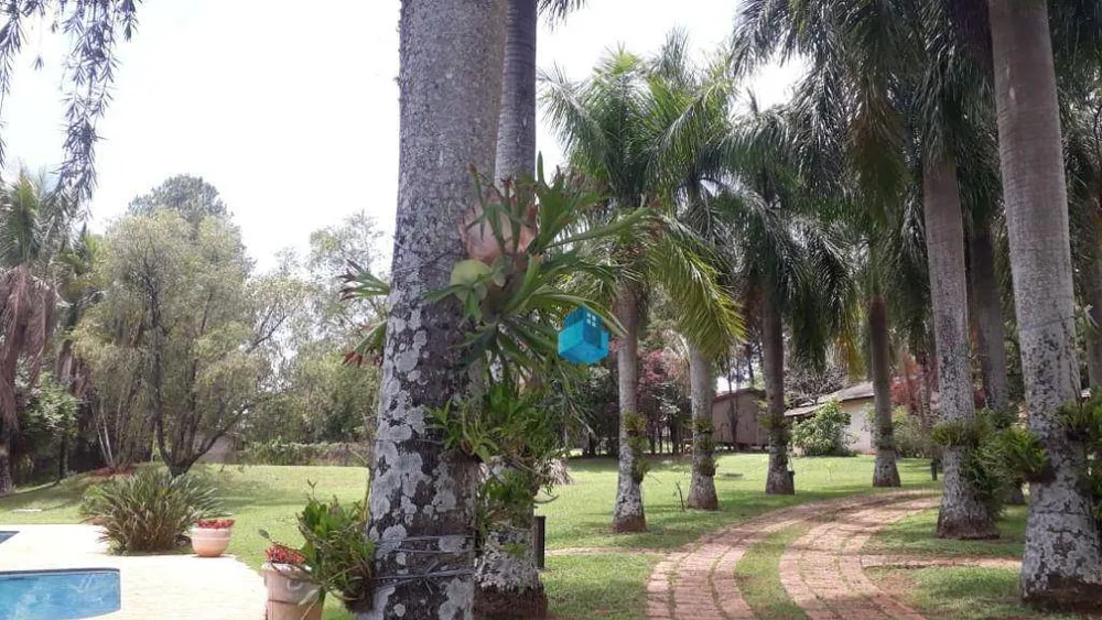 Chácara, 5 quartos, 5000 m² - Foto 2