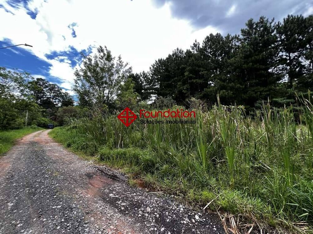 Terreno à venda - Foto 3