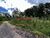 Terreno - Foto 3