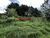 Terreno - Foto 2