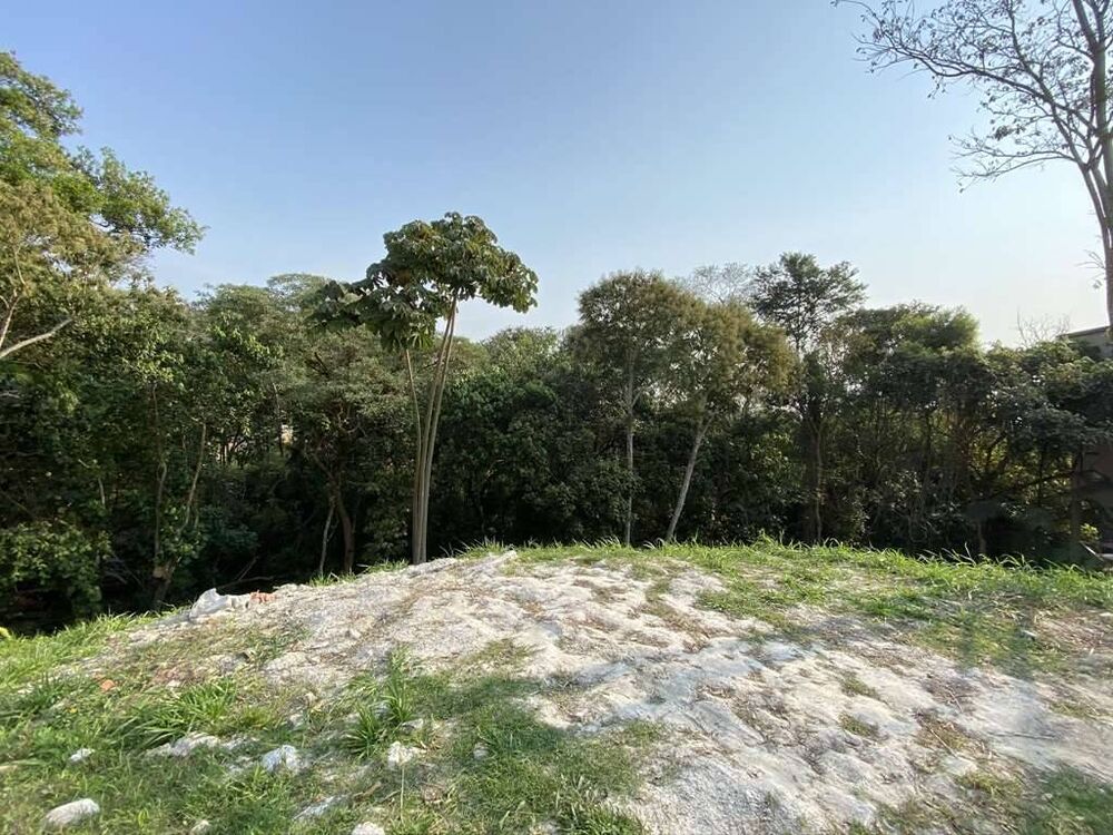 Terreno à venda - Foto 4