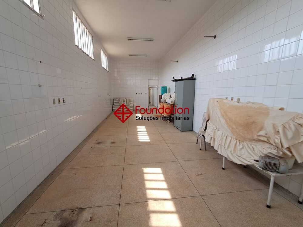 Sítio à venda com 4 quartos, 1100m² - Foto 40