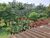 Sítio, 4 quartos, 4 hectares - Foto 30