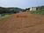 Sítio, 4 quartos, 4 hectares - Foto 12