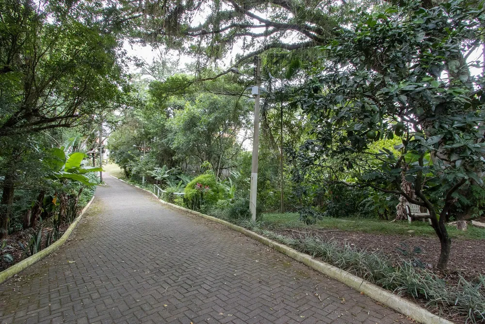 Terreno, 359 m² - Foto 3