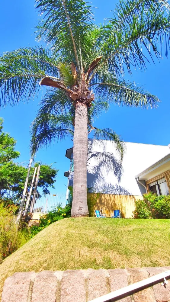 Casa, 4 quartos, 153 m² - Foto 6