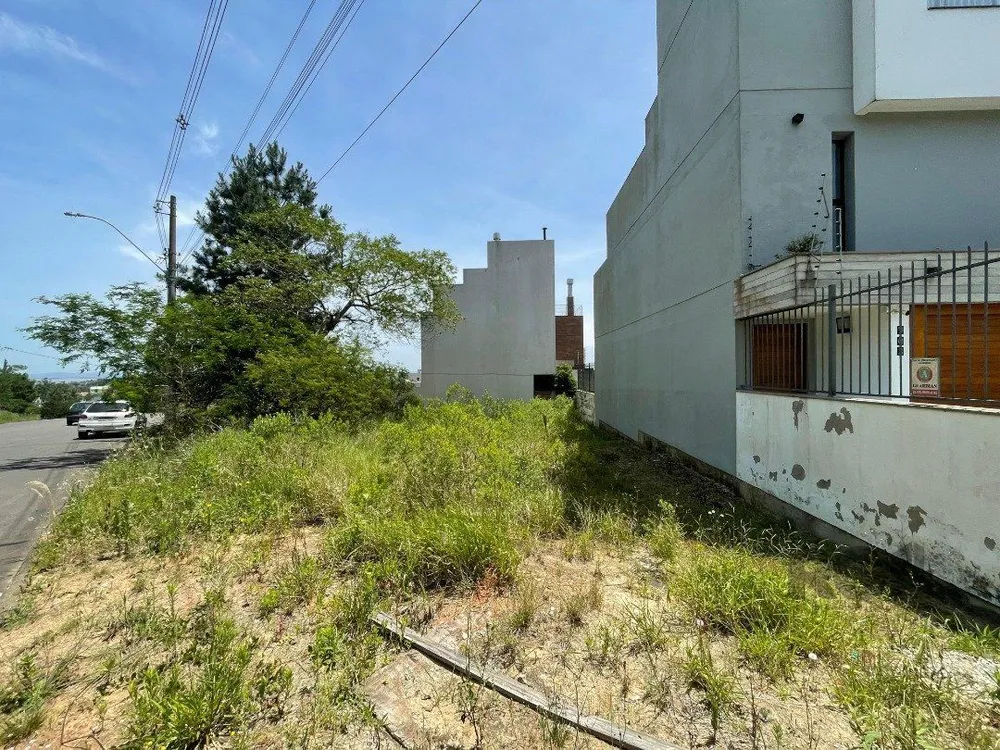 Terreno, 233 m² - Foto 5