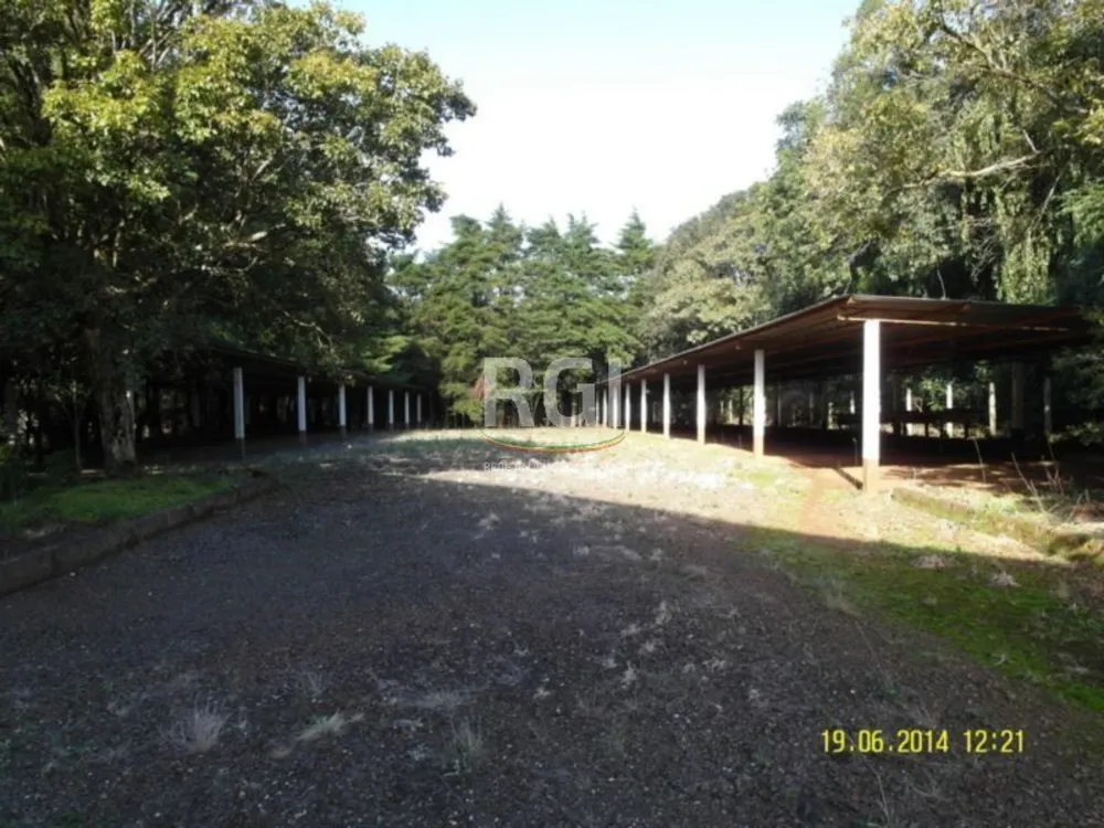 Terreno, 4 hectares - Foto 3