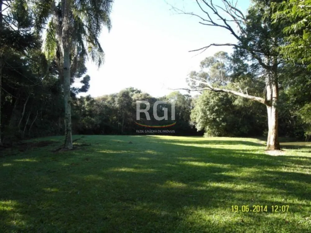 Terreno, 4 hectares - Foto 11