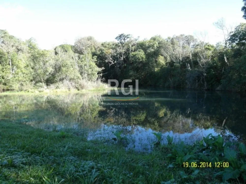 Terreno, 4 hectares - Foto 2