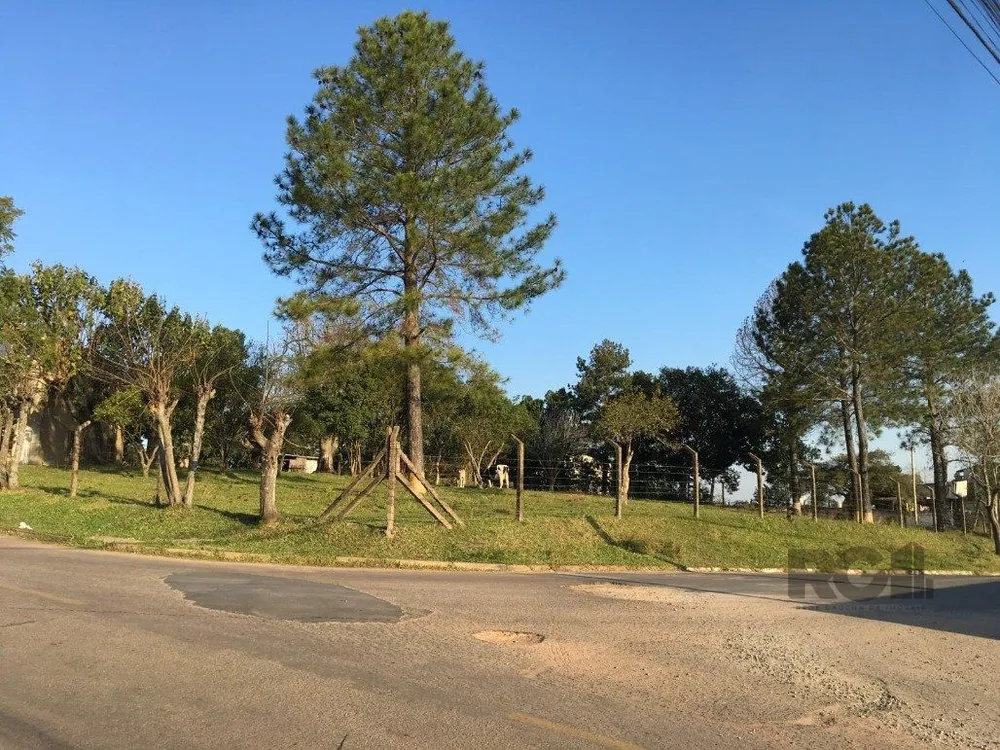 Terreno, 3467 m² - Foto 8
